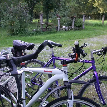 Apartmán Erholen Und Wohlfuehlen Auf Dem Knick Detmold