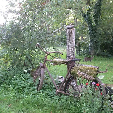 Erholen Und Wohlfuehlen Auf Dem Knick Detmold