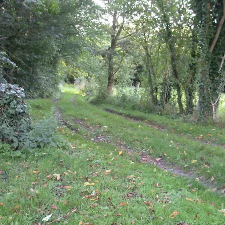 Apartmán Erholen Und Wohlfuehlen Auf Dem Knick