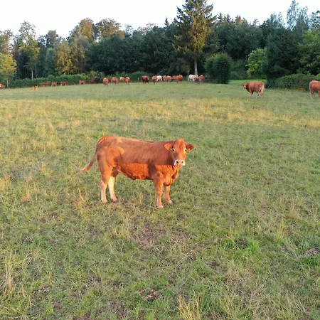 Erholen Und Wohlfuehlen Auf Dem Knick Detmold