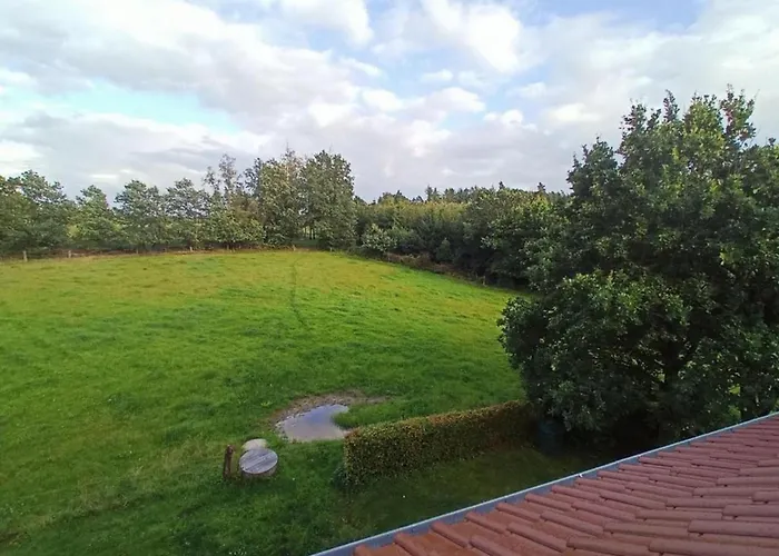 Appartement Erholen Und Wohlfuehlen Auf Dem Knick