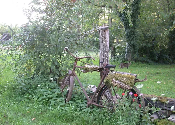 Erholen Und Wohlfühlen Auf Dem Knick Detmold