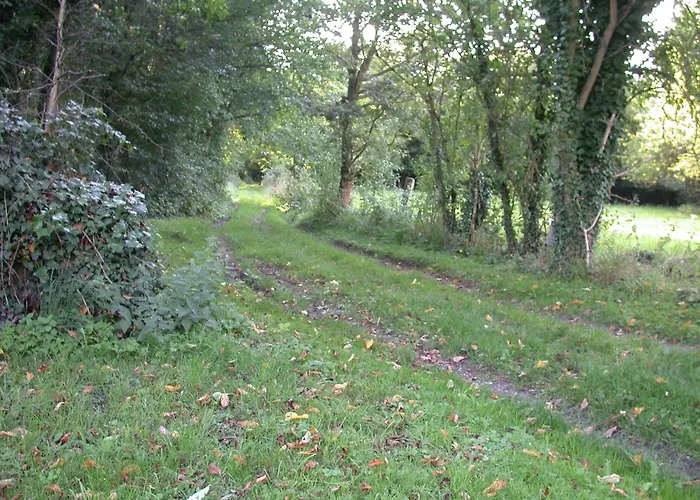 Apartment Erholen Und Wohlfühlen Auf Dem Knick