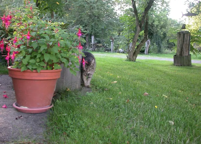 Appartement Erholen Und Wohlfuehlen Auf Dem Knick *