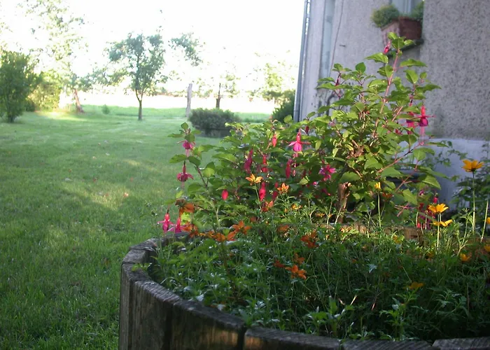 Erholen Und Wohlfühlen Auf Dem Knick *