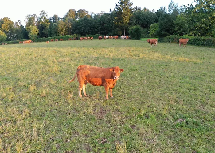 Erholen Und Wohlfuehlen Auf Dem Knick Detmold